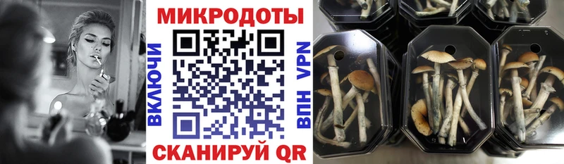 дарк нет клад  Радужный  Псилоцибиновые грибы ЛСД 